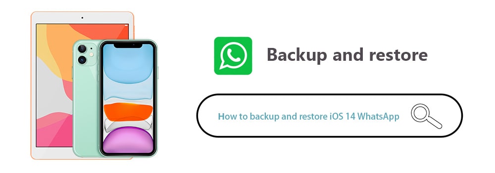 transfer whatsapp messages to iOS 18